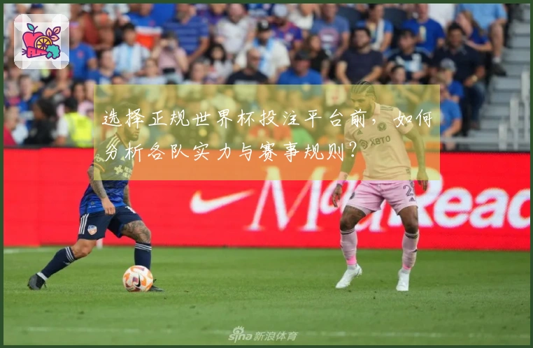 选择正规世界杯投注平台前，如何分析各队实力与赛事规则？