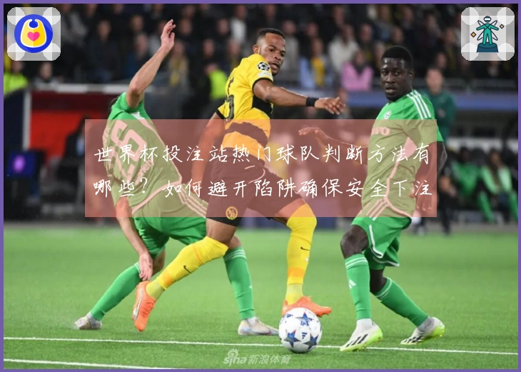 世界杯投注站热门球队判断方法有哪些？如何避开陷阱确保安全下注