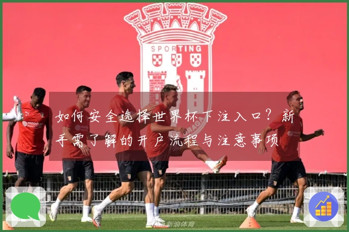 如何安全选择世界杯下注入口？新手需了解的开户流程与注意事项