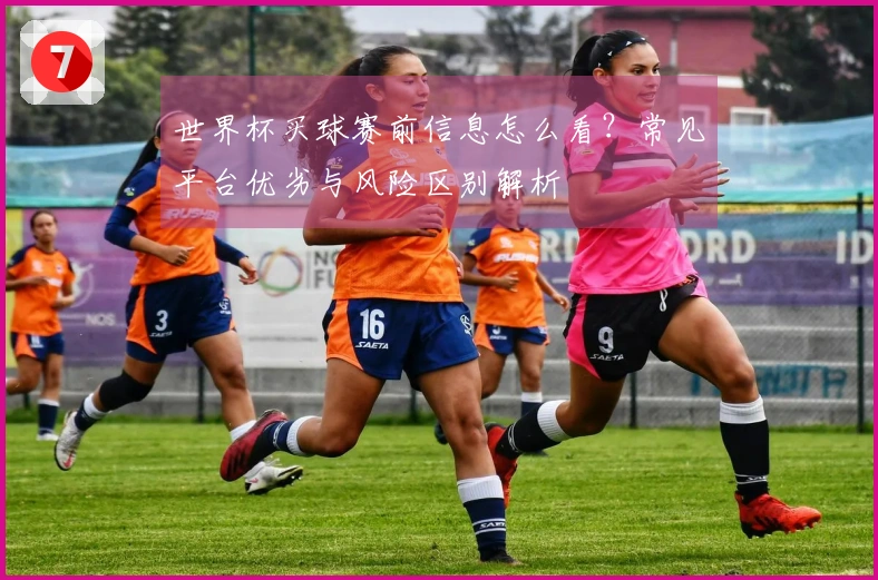 世界杯买球赛前信息怎么看？常见平台优劣与风险区别解析
