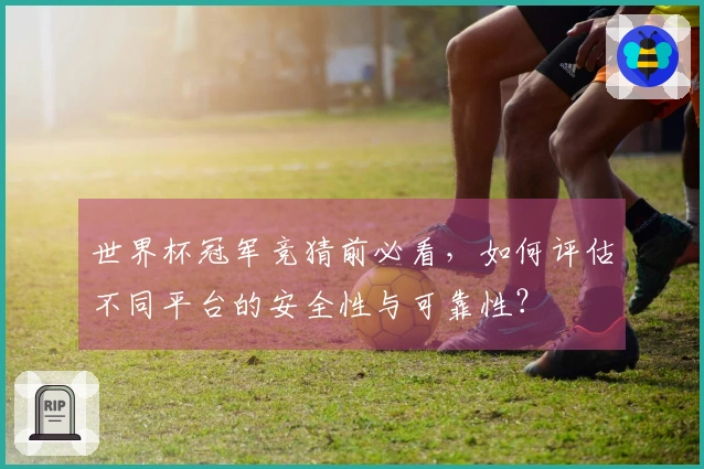世界杯冠军竞猜前必看，如何评估不同平台的安全性与可靠性？