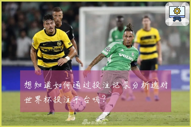 想知道如何通过投注记录分析选对世界杯投注平台吗？