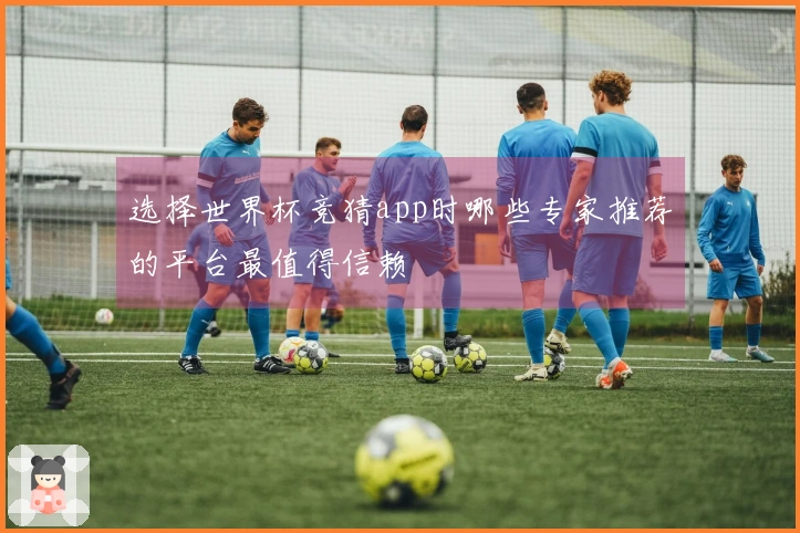 选择世界杯竞猜app时哪些专家推荐的平台最值得信赖