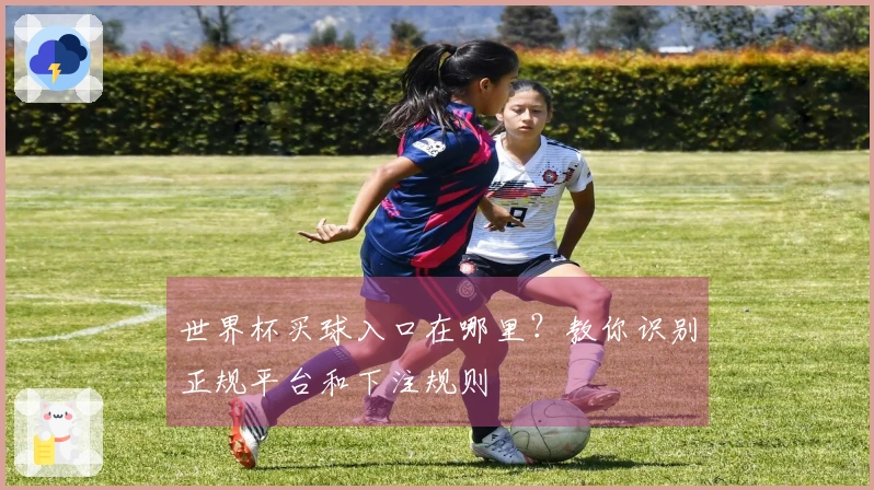世界杯买球入口在哪里？教你识别正规平台和下注规则