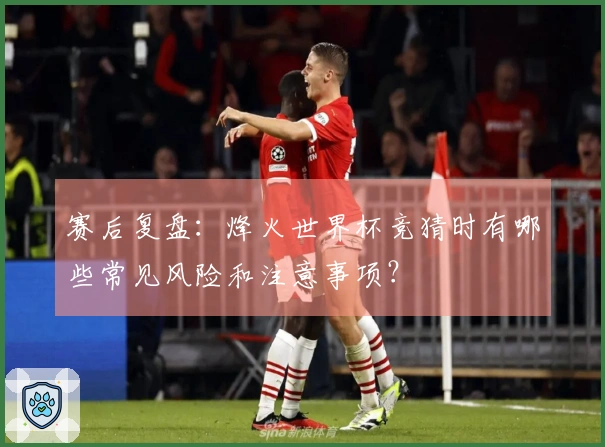 赛后复盘：烽火世界杯竞猜时有哪些常见风险和注意事项？