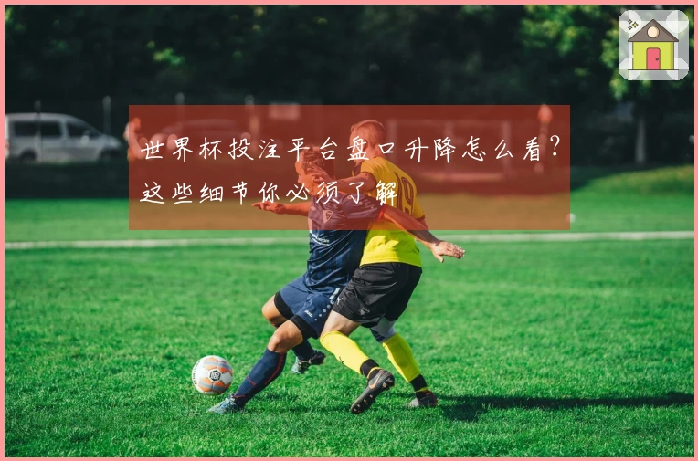 世界杯投注平台盘口升降怎么看？这些细节你必须了解
