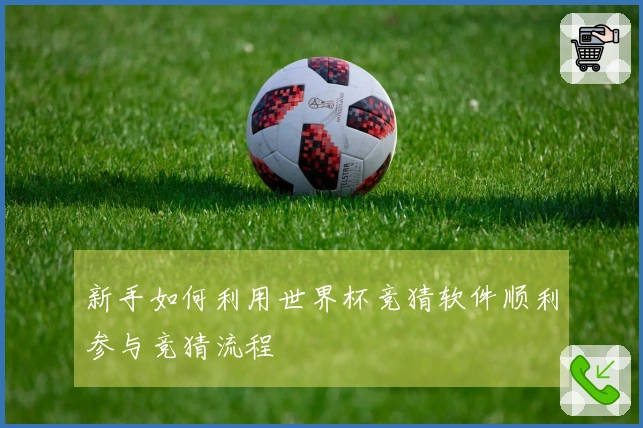 新手如何利用世界杯竞猜软件顺利参与竞猜流程