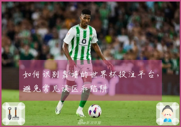 如何识别靠谱的世界杯投注平台，避免常见误区和陷阱
