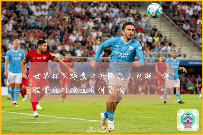 世界杯买球盘口升降怎么判断，赛程变化对投注有何影响
