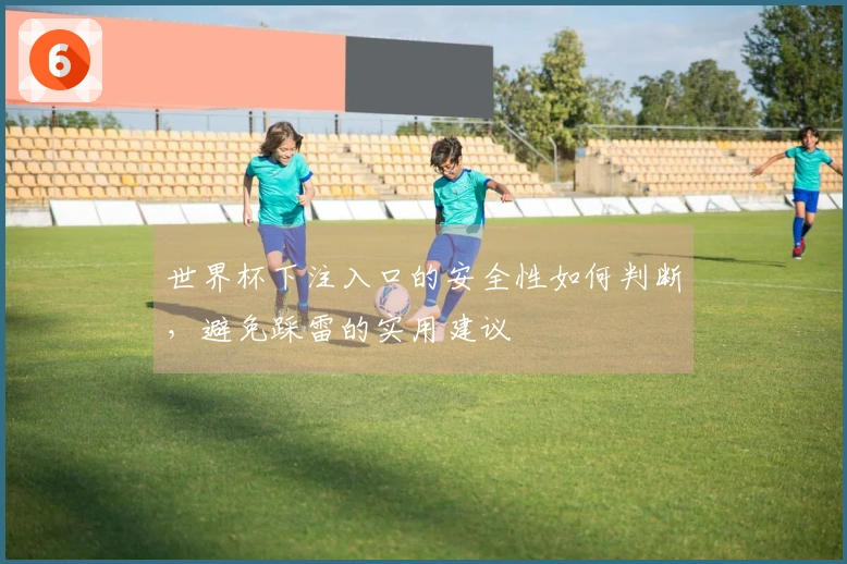 世界杯下注入口的安全性如何判断，避免踩雷的实用建议