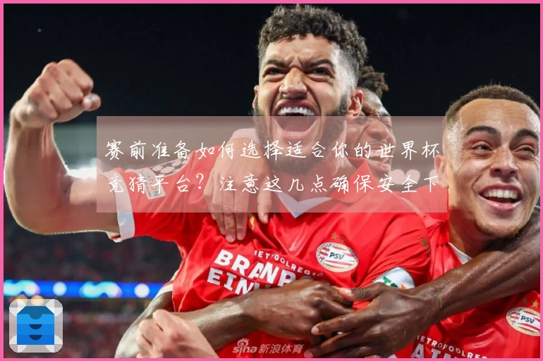 赛前准备如何选择适合你的世界杯竞猜平台？注意这几点确保安全下注
