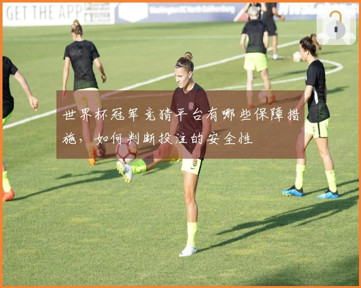世界杯冠军竞猜平台有哪些保障措施，如何判断投注的安全性
