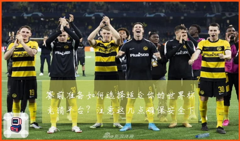 赛前准备如何选择适合你的世界杯竞猜平台？注意这几点确保安全下注