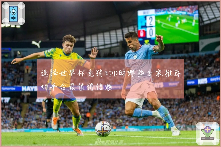 选择世界杯竞猜app时哪些专家推荐的平台最值得信赖