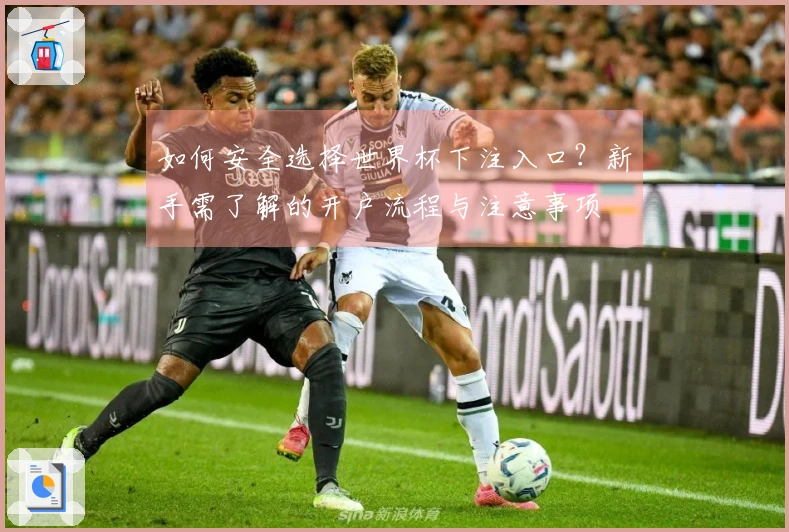 如何安全选择世界杯下注入口？新手需了解的开户流程与注意事项