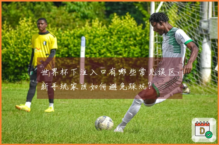世界杯下注入口有哪些常见误区，新手玩家该如何避免踩坑？