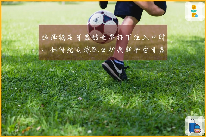 选择稳定可靠的世界杯下注入口时，如何结合球队分析判断平台可靠性