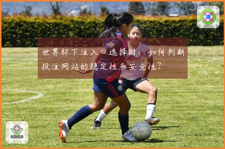 世界杯下注入口选择时，如何判断投注网站的稳定性和安全性？