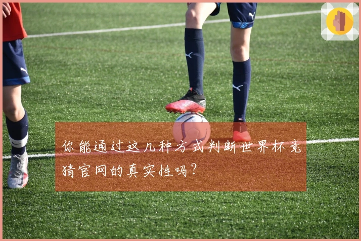 你能通过这几种方式判断世界杯竞猜官网的真实性吗？