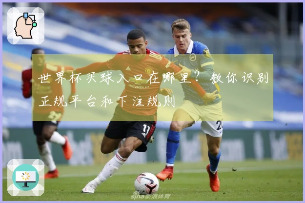 世界杯买球入口在哪里？教你识别正规平台和下注规则