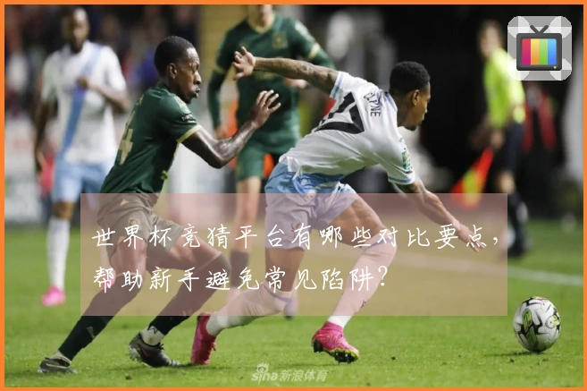 世界杯竞猜平台有哪些对比要点，帮助新手避免常见陷阱？