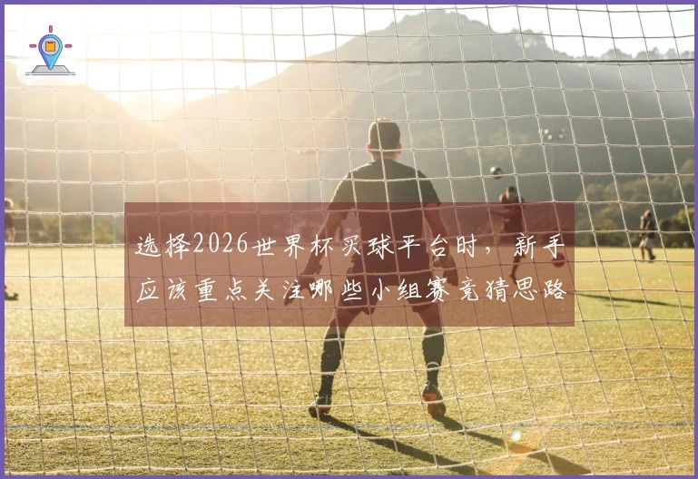 选择2026世界杯买球平台时，新手应该重点关注哪些小组赛竞猜思路？