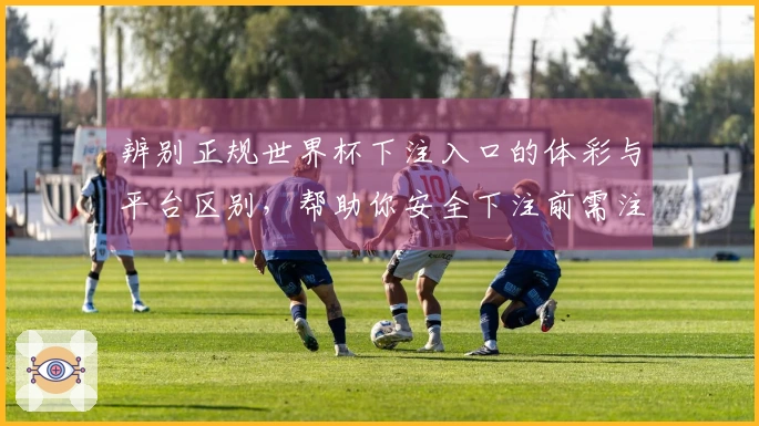 辨别正规世界杯下注入口的体彩与平台区别，帮助你安全下注前需注意哪些事项