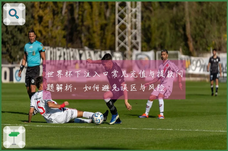 世界杯下注入口常见充值与提款问题解析，如何避免误区与风险