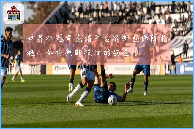世界杯冠军竞猜平台有哪些保障措施，如何判断投注的安全性