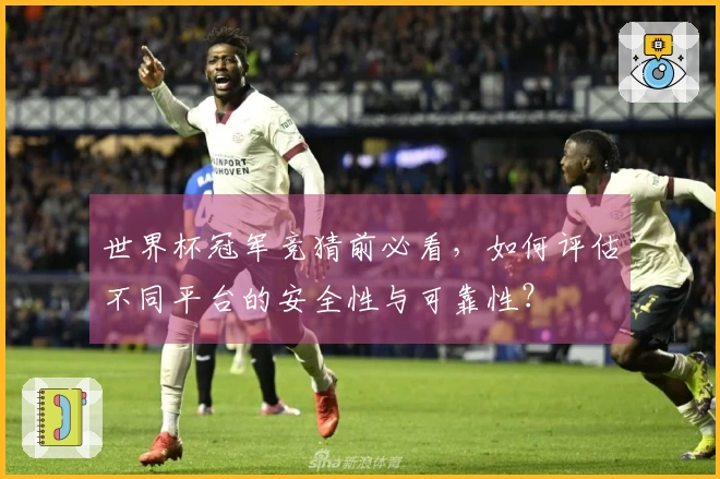 世界杯冠军竞猜前必看，如何评估不同平台的安全性与可靠性？