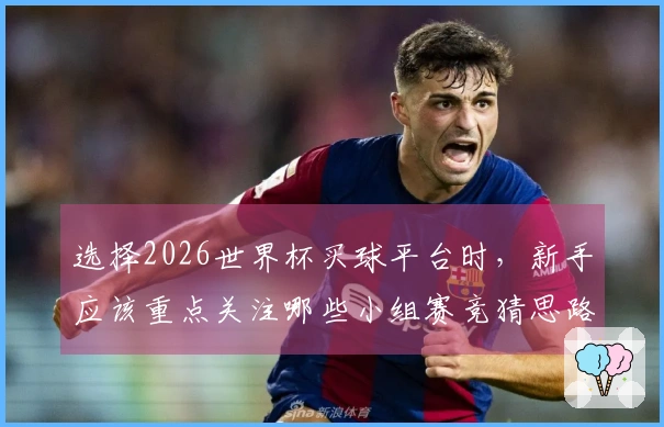 选择2026世界杯买球平台时，新手应该重点关注哪些小组赛竞猜思路？