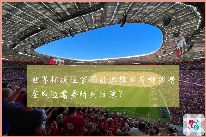 世界杯投注官网的选择中有哪些潜在风险需要特别注意？