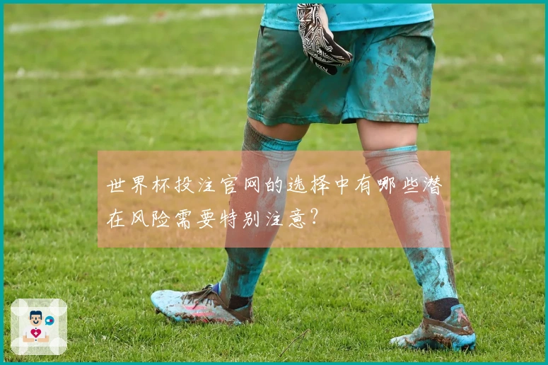 世界杯投注官网的选择中有哪些潜在风险需要特别注意？