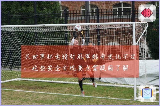 买世界杯竞猜时冠军赔率变化不定，这些安全合规要点需提前了解