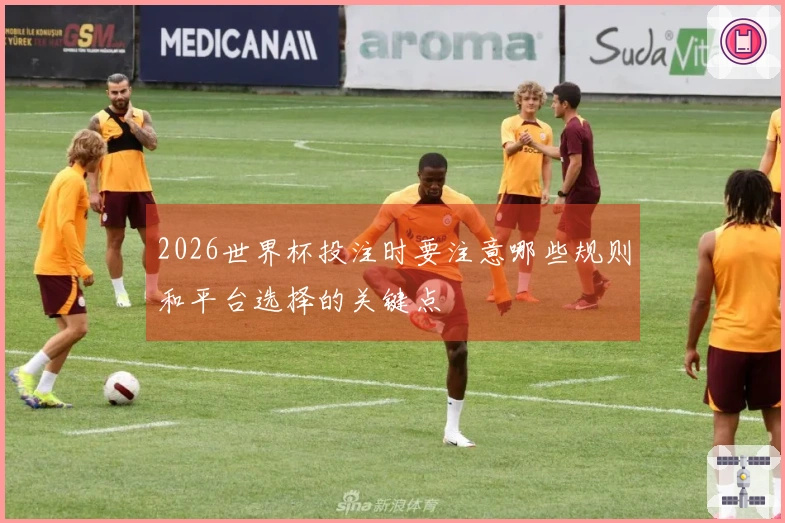 2026世界杯投注时要注意哪些规则和平台选择的关键点